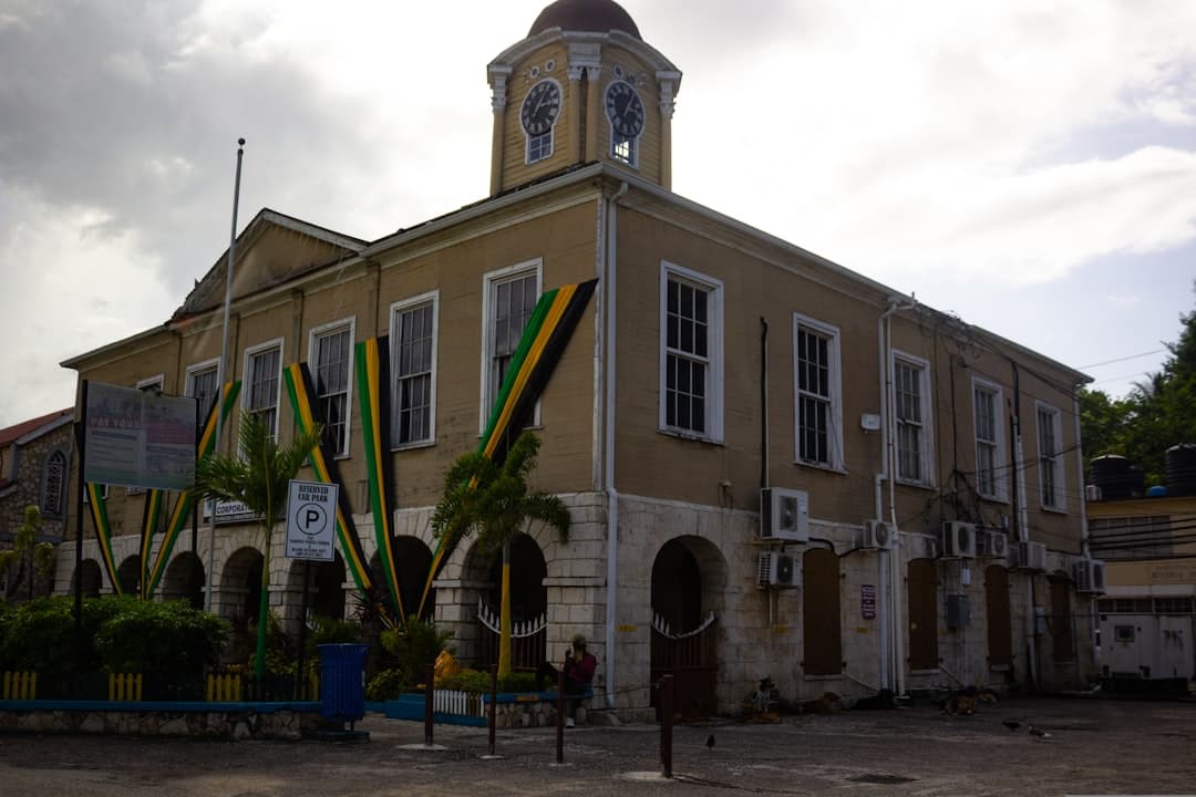 Jamaica Diaspora Council Election